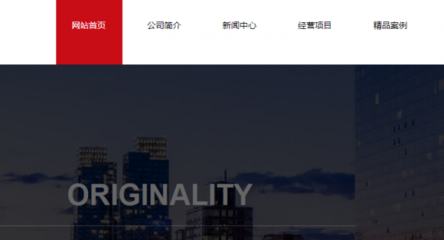 江苏枝秀老龄产业发展有限公司与我司做建网站项目